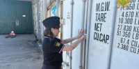 Плесень, грызуны и ржавые бочки: в Одоеве приостановили работу предприятия - ИА Тульская пресса.Ru