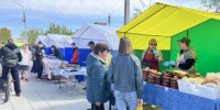 Куриные яйца, свинина и колбаса подешевели за неделю в Забайкалье - Baikal24.Ru
