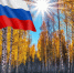 С Днём России!. - Губкинский городской округ