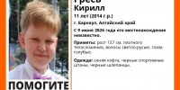 Фото: "ЛизаАлерт" - ИА Амител