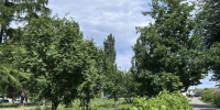 Середина июня в Татарстане будет на градус теплее климатической нормы - Газета Посинформ