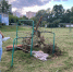 img - ЛДПР