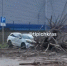 В Краснодаре дерево упало на машину - SochiStream.Ru