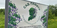 В североморском «Саду памяти» зацветет сирень и черемуха - Мурманский вестник