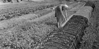 В День России Главархив рассказал об онлайн-выставках, посвященных деятелям науки - Главное архивное управление