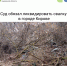 В Кирове судились из-за мусора - Newsler.Ru