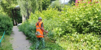 ЦУГД приводит в порядок муниципальные территории Владимира - Progorod33.Ru