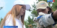 Десять краснокнижных соколов-балобанов выпустили в Камском Устье - ГТРК Татарстан