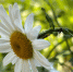 McmzvrVOckMPlLCAOyWPqpZ5aWqsJPaD7tThv-mhHCSMJKDf4gAl1buNTPlbhUGY2CUX5Un78IPS90Fq_dgH76n3 - Рязанские ведомости