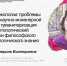 Участников школы «Мыслить и конструировать Живое!» приглашают на лекцию о философии экологии - ЮФУ