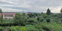 Сразу в пяти омских СНТ сменились председатели - СуперОмск