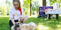 Новости Черинфо - CherInfo.Ru