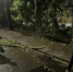 Последствия мощного ливня, обрушившегося 11 июня, устранили в Самаре - Самарская Газета