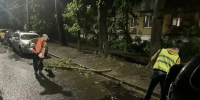 Последствия мощного ливня, обрушившегося 11 июня, устранили в Самаре - Самарская Газета