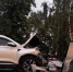 В центре Чистополя эвакуировали две иномарки после столкновения на перекрёстке - Чистополь-информ
