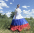 img - ЛДПР