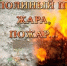 К тольяттинцам обращаются с просьбой проявлять повышенную бдительность и не поджигать тополиный пух - Городские Ведомости