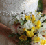 rul79xyh1607pnfl01kebciostvrm7ko.jpg - Primorye24.Ru