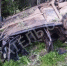 фото «Спасатель с Коми» - Syktyvkar.1istochnik.Ru