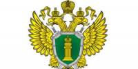  Подписан закон, направленный на защиту исторической памяти - Хайбуллинский район