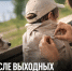 После дачи, рыбалки и прогулки у Дона: жителей Задонского округа просят проверять детей и животных на клещей - Газета Задонская правда