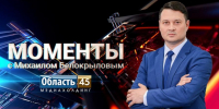 Чем живёт Курган: розыск живодёра, вредители на деревьях и недобросовестные перевозчики - Область 45
