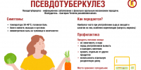 Профилактика псевдотуберкулеза - Роспотребнадзор