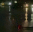 Воронежцев перепугал ночной гул электро-лодки на водохранилище - Bloknot-Voronezh.Ru