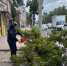 Вчера в Орле молнии и ливень ломали деревья - Уездный город