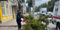 Вчера в Орле молнии и ливень ломали деревья - Уездный город