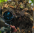 Фото: https://58.rosguard.gov.ru/ - Penza-Post.Ru
