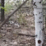 image - GazetaRB.Ru