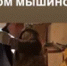 Тараканы падают с потолка: в Уфе бабушка завалила квартиру мусором - Башинформ
