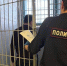 В Кировской области пенсионер задавил насмерть женщину на берегу пруда - Prochepetsk.ru