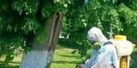 В Орловской области замечены люди в противогазах - OrelTimes.Ru