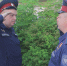 Патрули казаков.mp4_snapshot_00.16.776.jpg - ГТРК Кострома