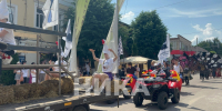 Петухи и гуси в 16-й раз прошли по Тарусе - Телерадиокомпания Ника