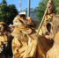 Фото: News29 - News29.Ru