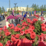Безымянное, лето - Noyabrsk-Inform.Ru