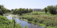 В водоёмах Белгородской области утонули двое детей - Сетевое издание Ивня онлайн