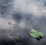 Фото © magnific.com - KaspyInfo.Ru