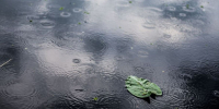 Фото © magnific.com - KaspyInfo.Ru