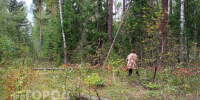 В нижегородских лесах объявлена пожарная опасность: часть территорий закрыта для посещения - ProGorodNN.Ru