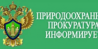 Природоохранная прокуратура информирует - Администрация МР