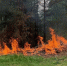 Первоисточник - Syktyvkar.1istochnik.Ru