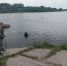 Узловском районе утонуло два ребенка - ИА Новомосковск Сегодня