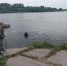 В водоеме поселка 8 Марта Узловского района утонули две девочки - ГТРК