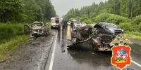 Фото: Подмосковная полиция/t.me - Ямал-Медиа