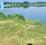 Следком проводит проверку по факту гибели подростка в кольчугинском водоёме - Progorod33.Ru