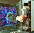 Интернет, мошенничество - Solncewonews.ru